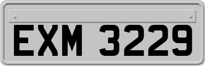EXM3229