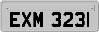 EXM3231