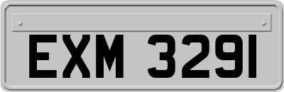 EXM3291