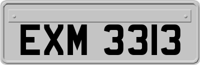 EXM3313
