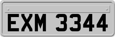 EXM3344