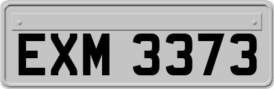 EXM3373