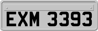 EXM3393