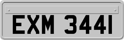 EXM3441