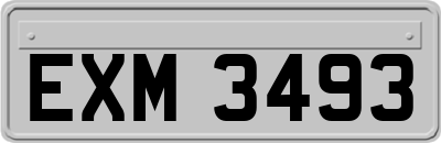 EXM3493