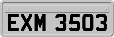 EXM3503