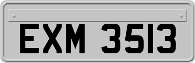 EXM3513