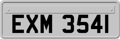 EXM3541
