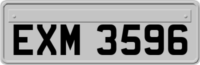 EXM3596