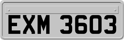 EXM3603