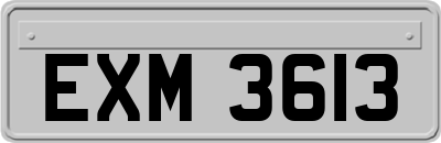 EXM3613