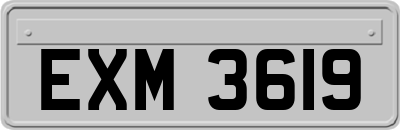 EXM3619