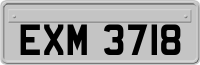 EXM3718