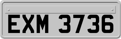 EXM3736