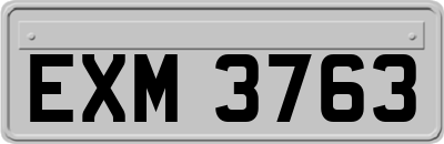 EXM3763