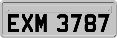 EXM3787
