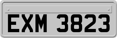 EXM3823