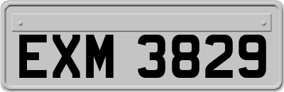 EXM3829