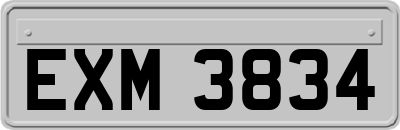 EXM3834