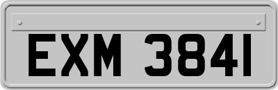 EXM3841