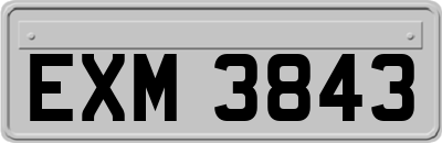 EXM3843