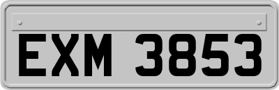 EXM3853