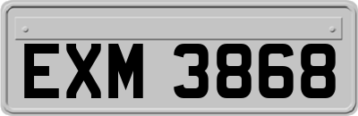EXM3868