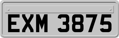 EXM3875