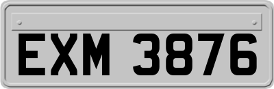 EXM3876