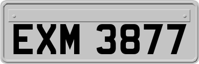 EXM3877
