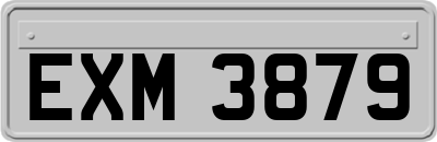 EXM3879