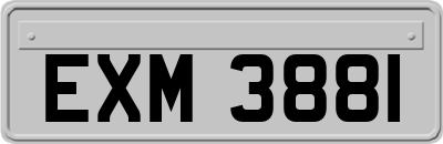 EXM3881