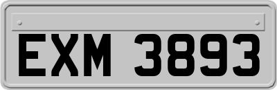 EXM3893