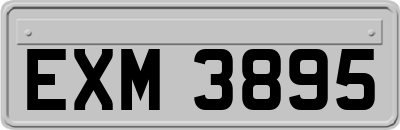 EXM3895