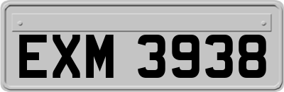EXM3938
