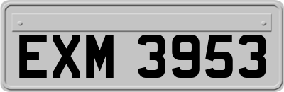 EXM3953