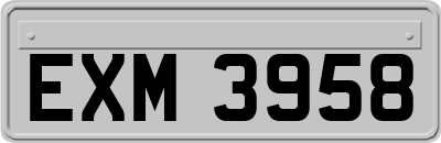 EXM3958