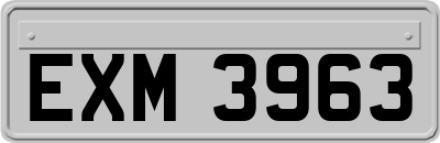 EXM3963