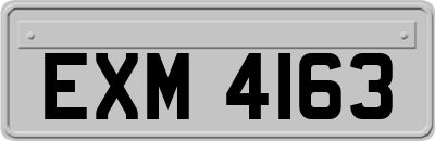 EXM4163