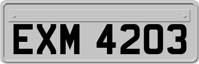 EXM4203