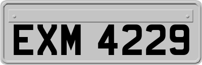 EXM4229