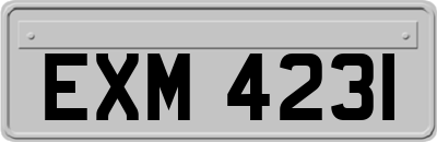 EXM4231