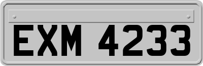 EXM4233