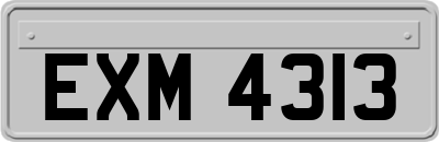 EXM4313