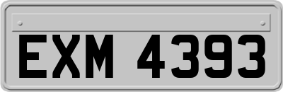 EXM4393