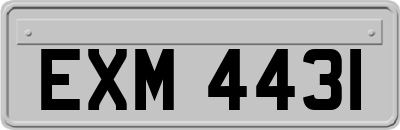 EXM4431