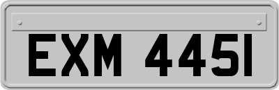 EXM4451