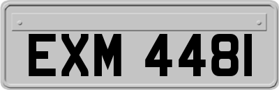 EXM4481
