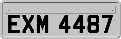 EXM4487
