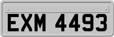 EXM4493